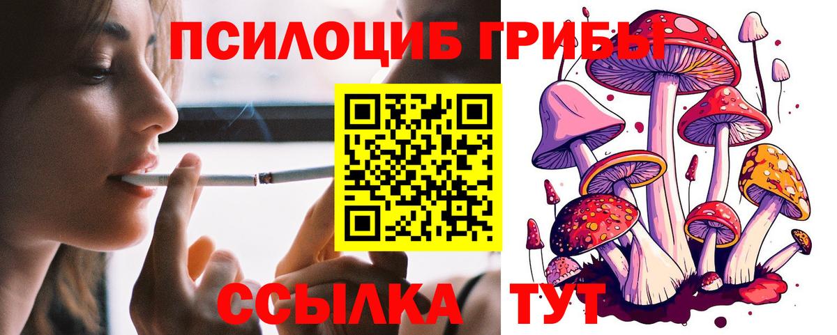купить  цена  Псилоцибиновые грибы Psilocybe  Псилоцибиновые грибы Psilocybine cubensis  Вход с VPN  Новокубанск 